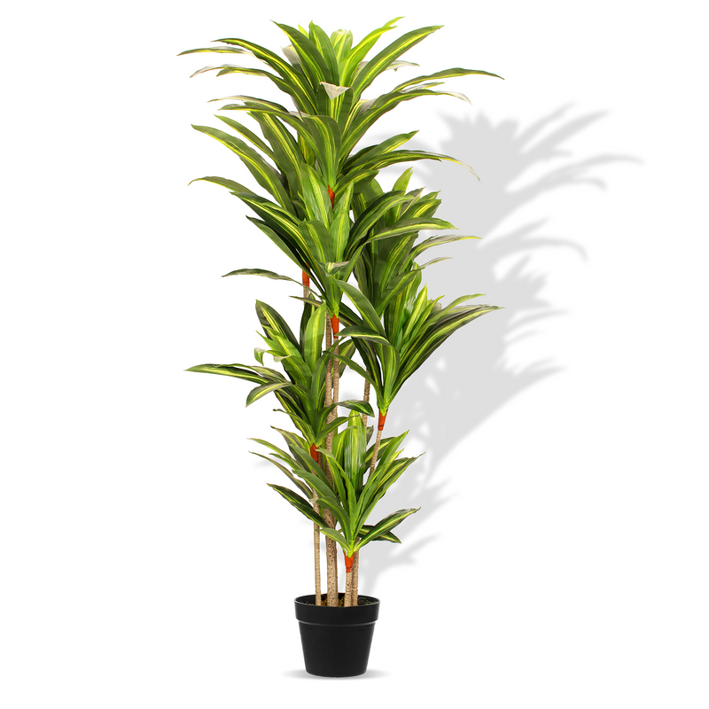 5.6ft Artificial Dracaena Tree - Artificial Plant