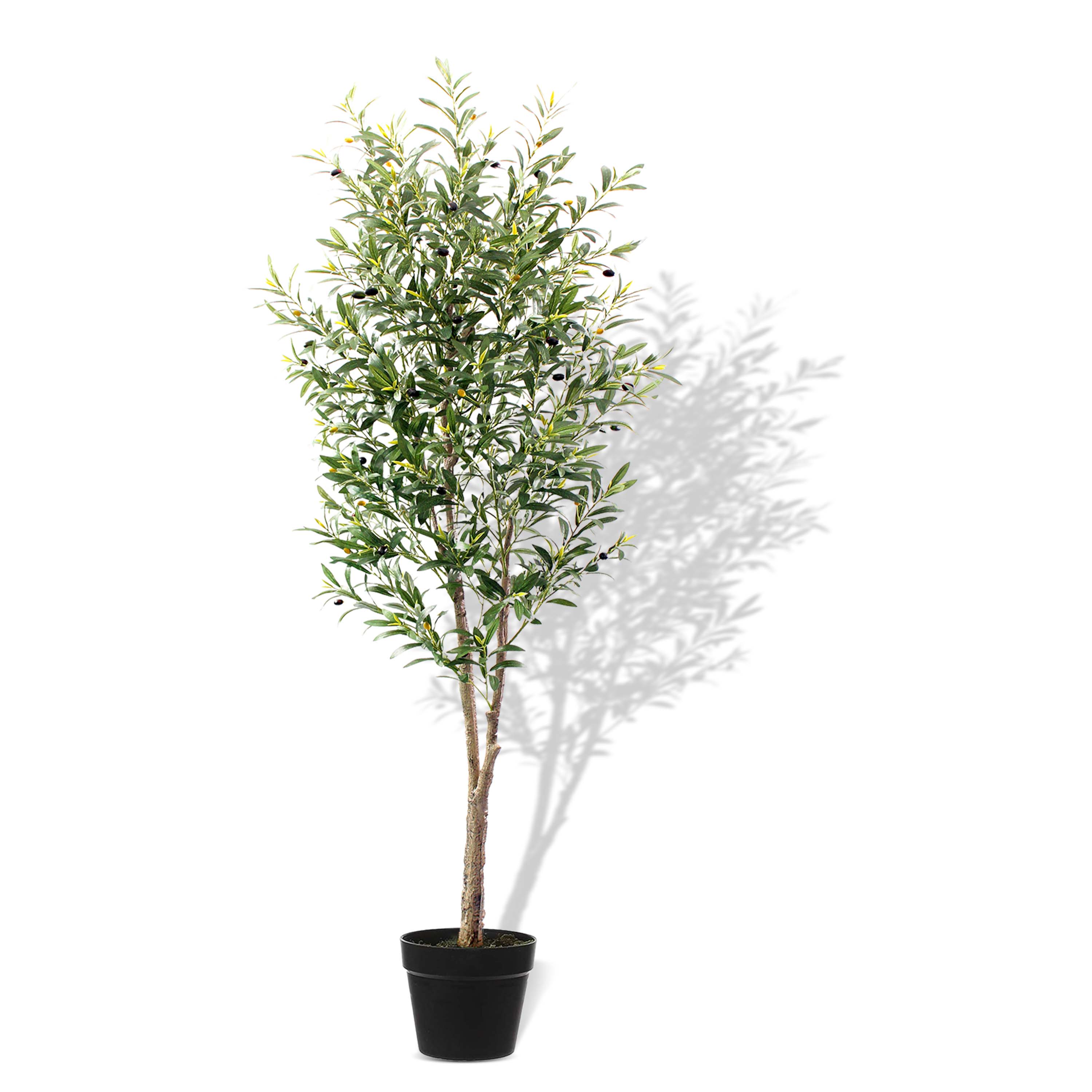7Ft Olive Tree with 64PCS Fresh Olives - Artificial Plant – Denny