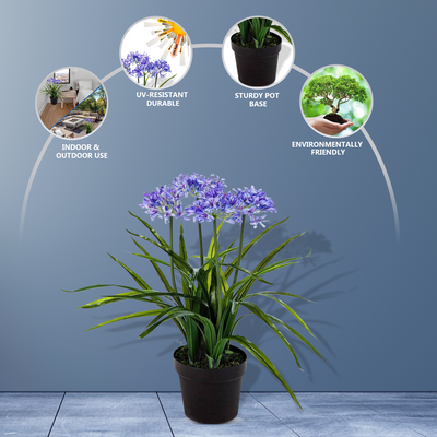 1M Agapanthus Poppin Star - Artificial Plant
