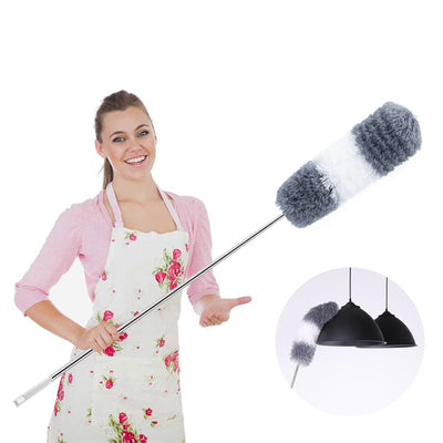 Extendable Feather Duster Brush