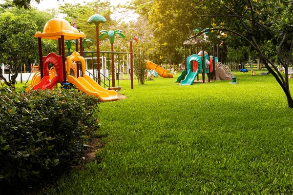 Kids Collection