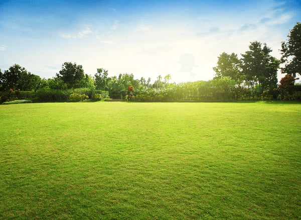 Garden & Outdoor