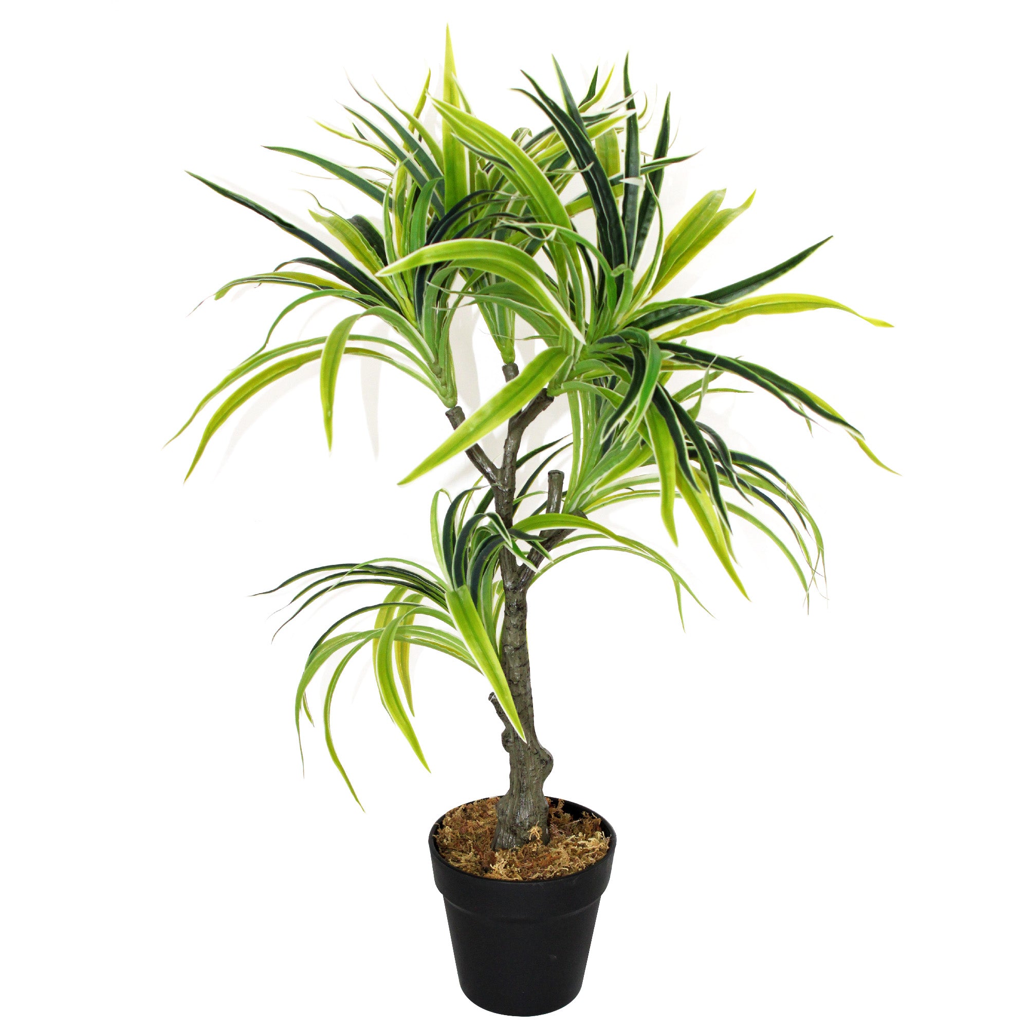 3040.jpg?v=1711965768&width=1800