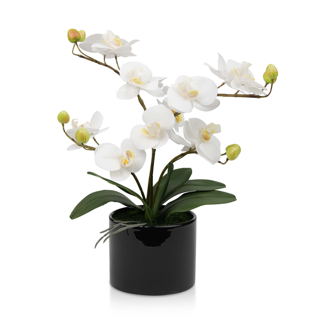 Artificial Plant Fake Silk Orchid Flower