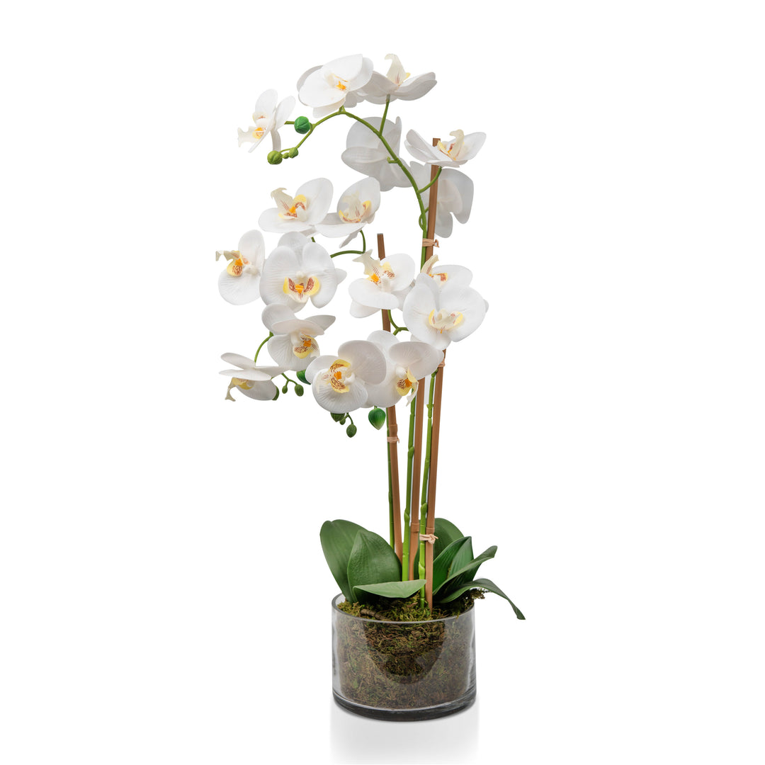 White Artificial Orchid Plant Transparent Pot