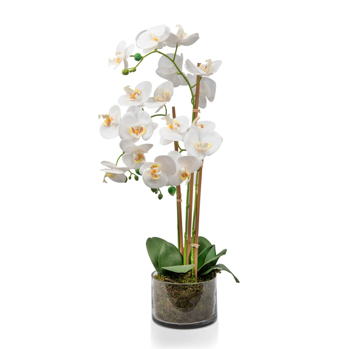 White Artificial Orchid Plant Transparent Pot