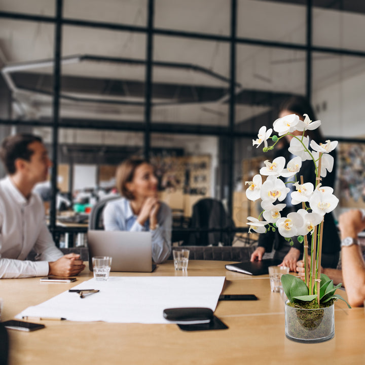 White Artificial Orchid Plant Transparent Pot