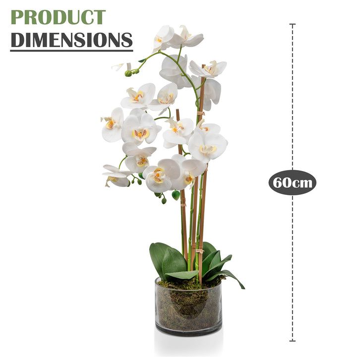 White Artificial Orchid Plant Transparent Pot