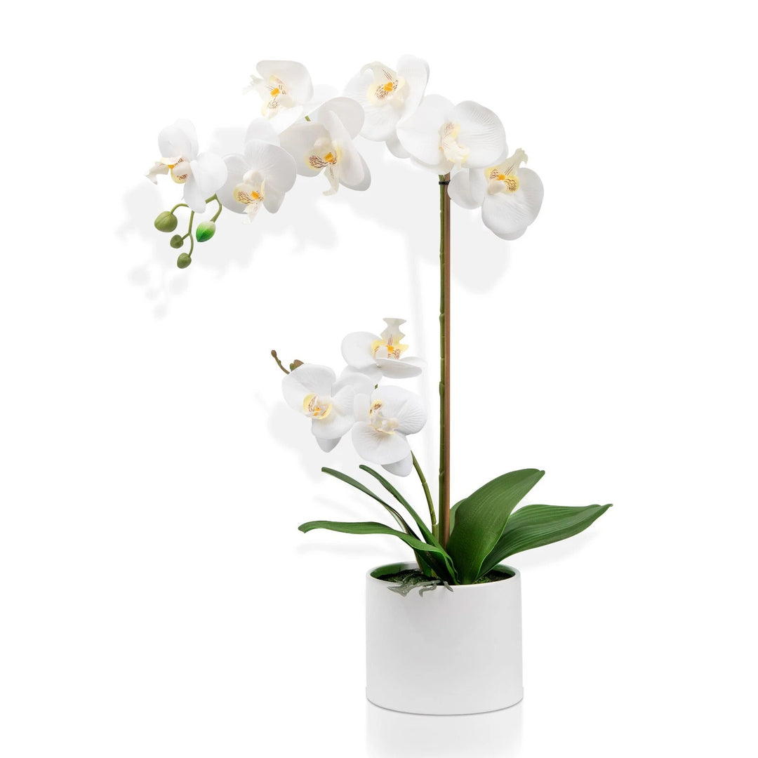55cm Artificial Orchid Flower Plant