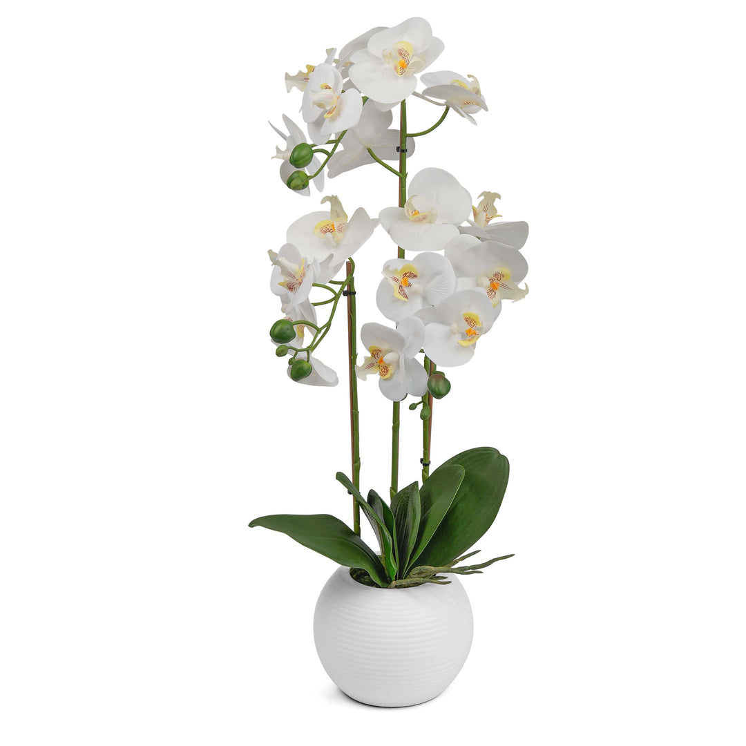 60cm Artificial White Realistic Orchid Flower