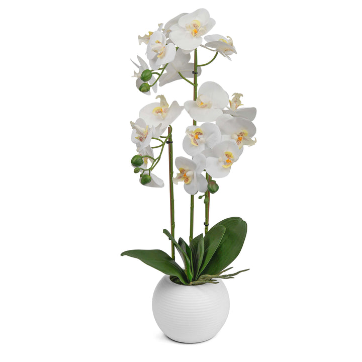 60cm Artificial White Realistic Orchid Flower