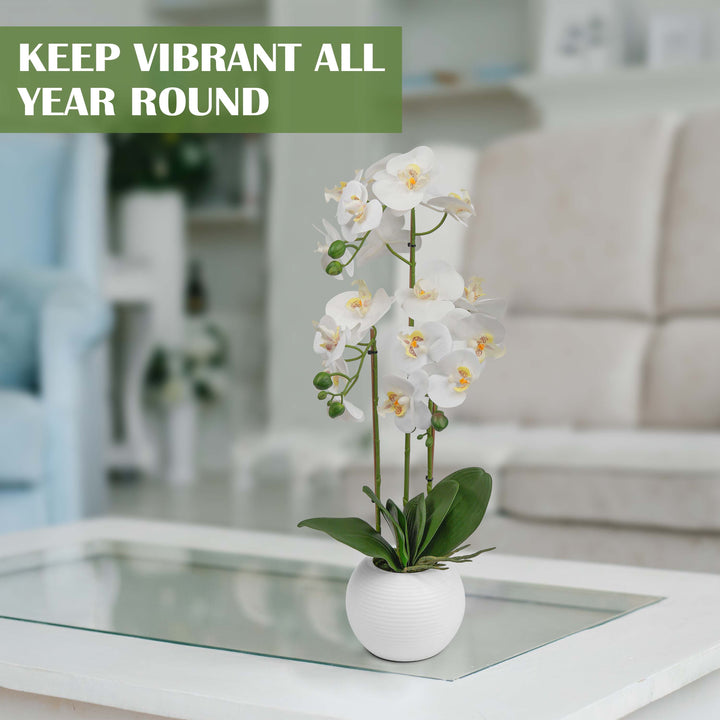 60cm Artificial White Realistic Orchid Flower