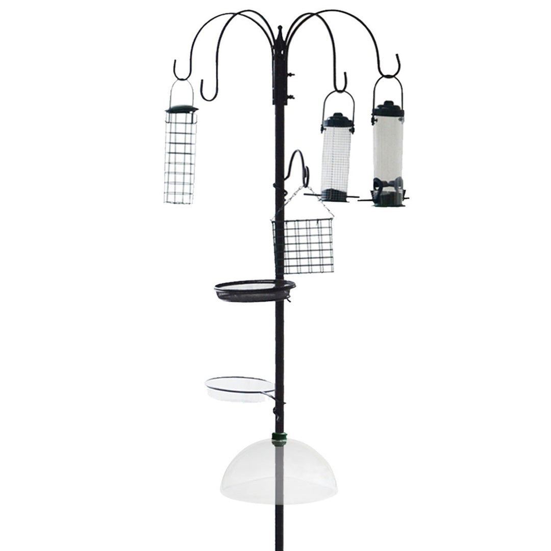 Bird Feeding Station With Water Bath