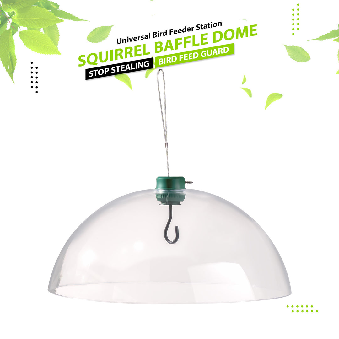 Squirrel Baffles Dome