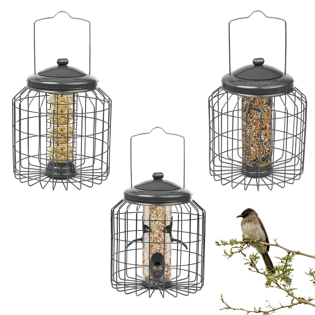 Squirrel Proof Hanging Bird Feeder