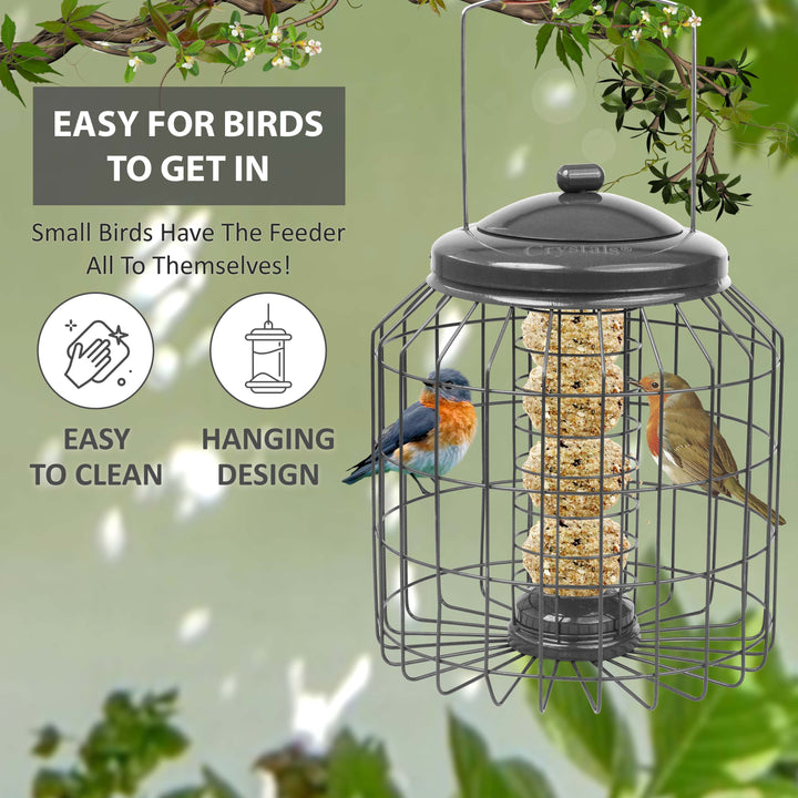 Squirrel Proof Hanging Bird Feeder
