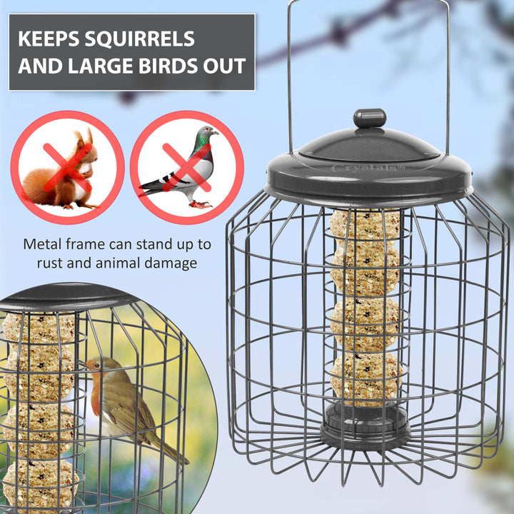 Squirrel Proof Hanging Bird Feeder