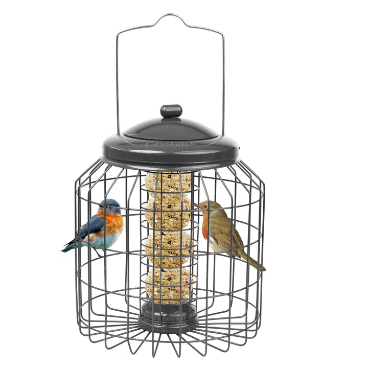 Squirrel Proof Hanging Bird Feeder