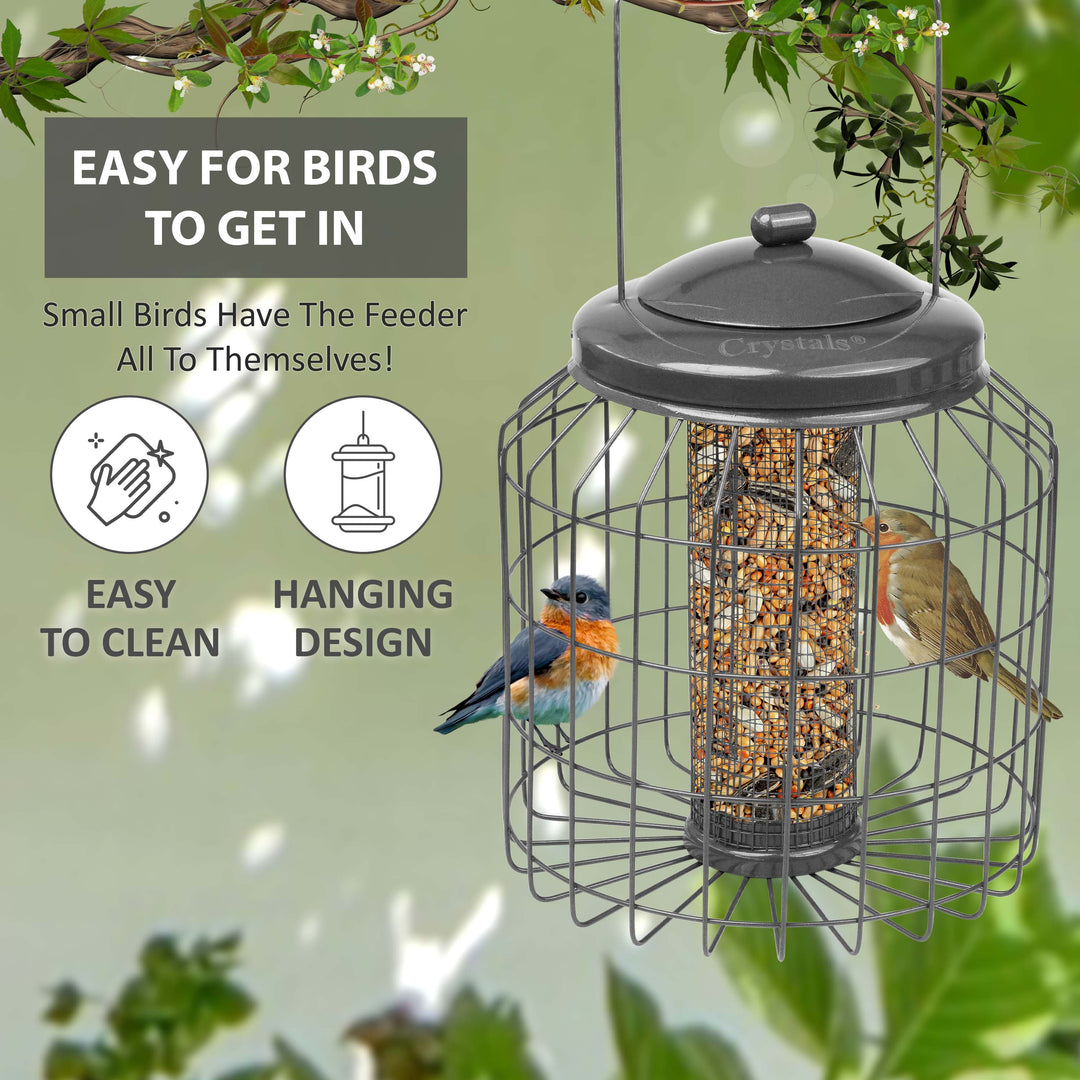 Squirrel Proof Hanging Bird Feeder
