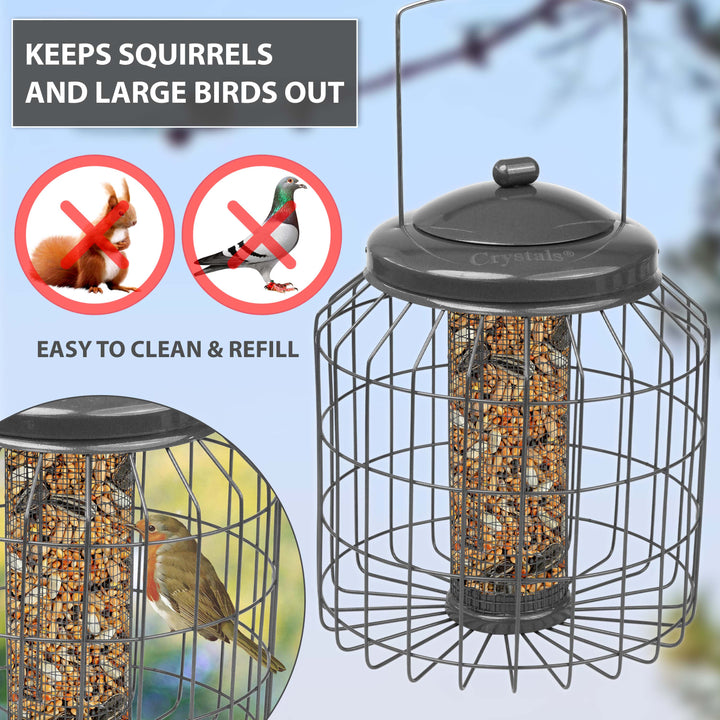 Squirrel Proof Hanging Bird Feeder