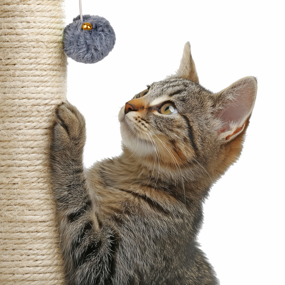 80cm Sisal Cat Scratching Post