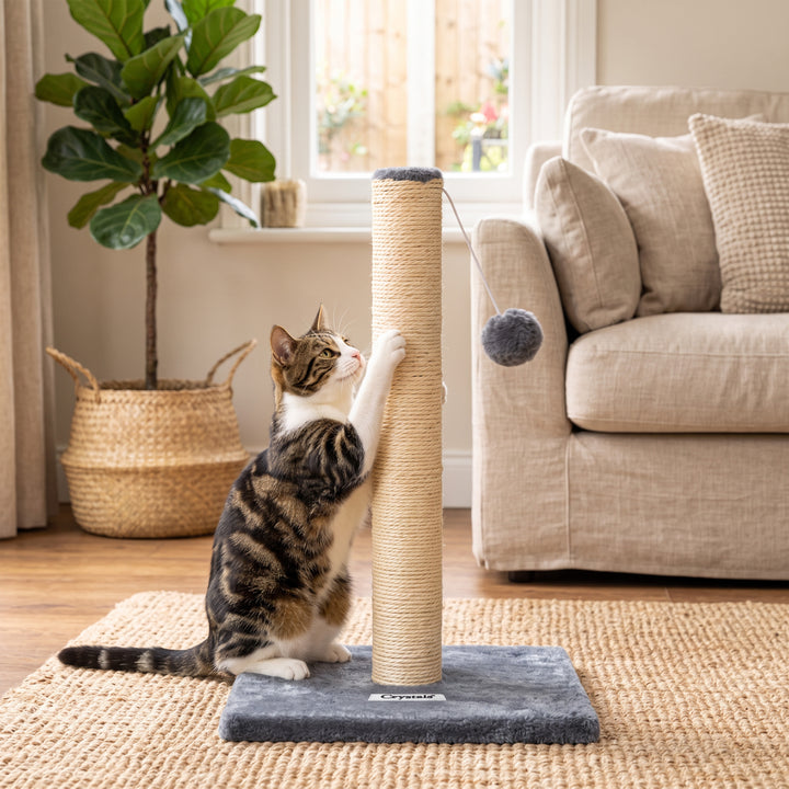 50cm Sisal Cat Scratching Post