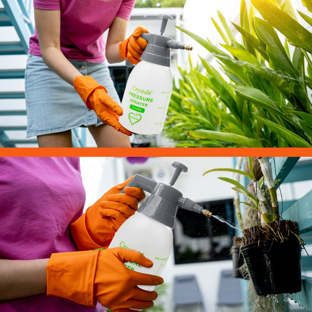 garden sprayer pressure 2 or 3 L Garden Hand Pump Pressure Sprayer – Denny Shop UK
