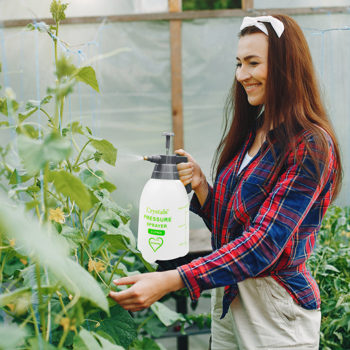garden pressure spray pump 2 or 3 L Garden Hand Pump Pressure Sprayer – Denny Shop UK