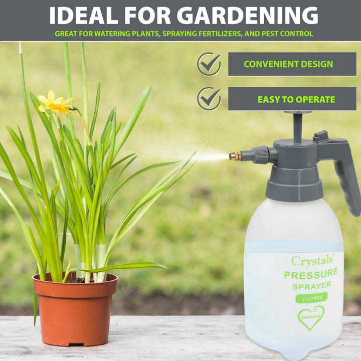 2 or 3 L Garden Hand Pump Pressure Sprayer