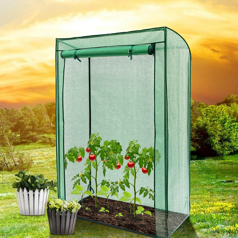 Tomato Greenhouse Frame & Cover