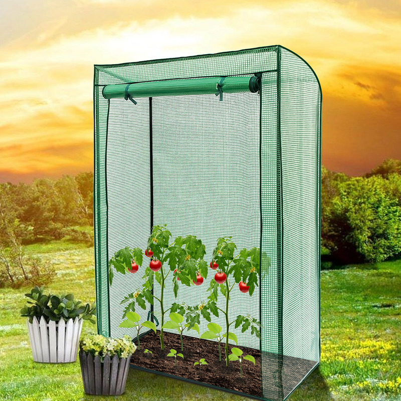 Garden Tomato Greenhouse Frame & Weather Cover