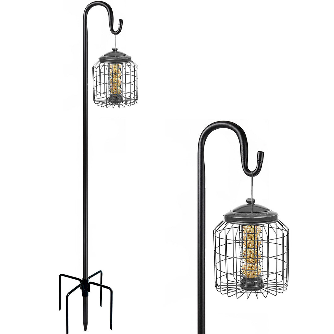 Bird Feeder with Shepherd Hook