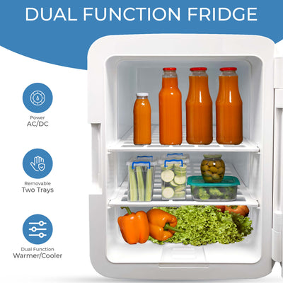 10L Compact Refrigerator Mini Electric Fridge