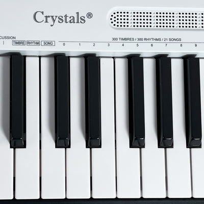 61 Keys Electronic Teaching Keyboard Piano