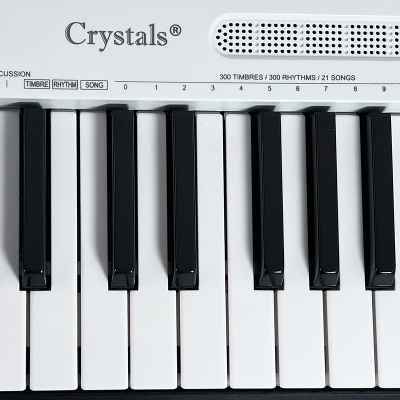 61 Keys Electronic Teaching Keyboard Piano