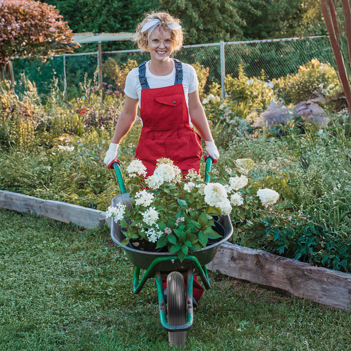 14" Puncture Proof Wheelbarrow Wheel