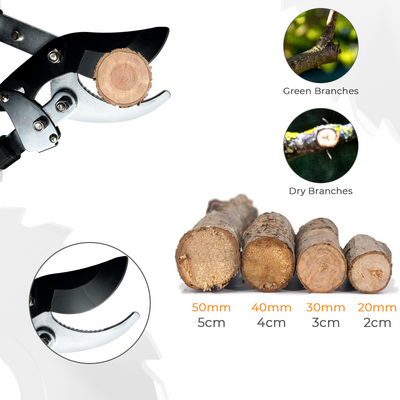 Telescopic Ratchet Tree Loppers