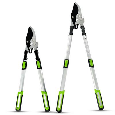 Telescopic Ratchet Tree Loppers