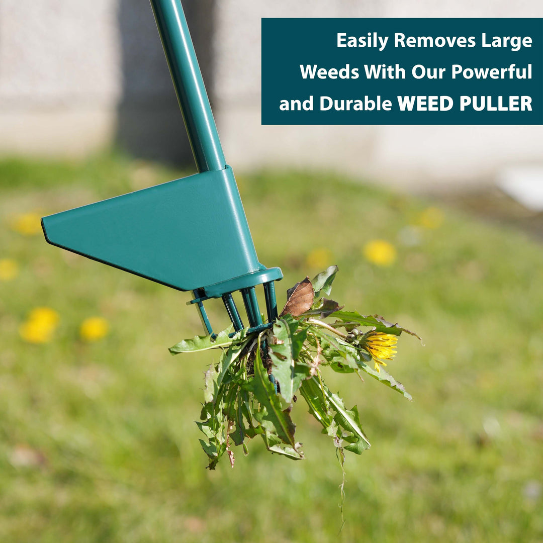 Steel Weed Puller Root Remover