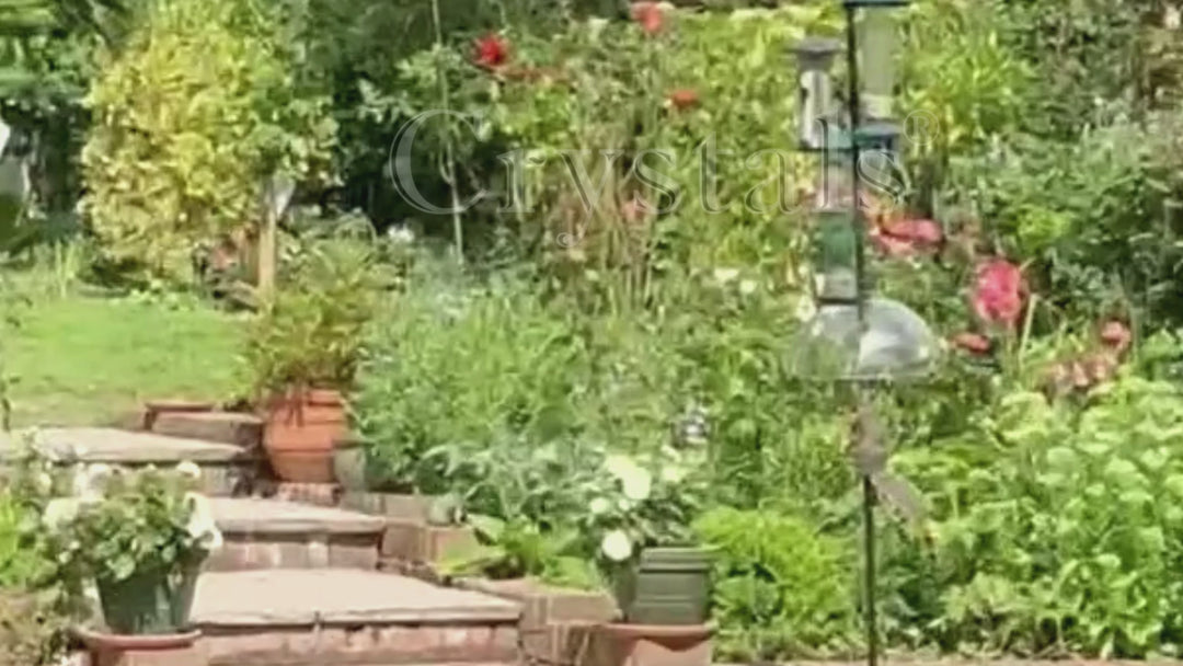 Squirrel Baffles Dome