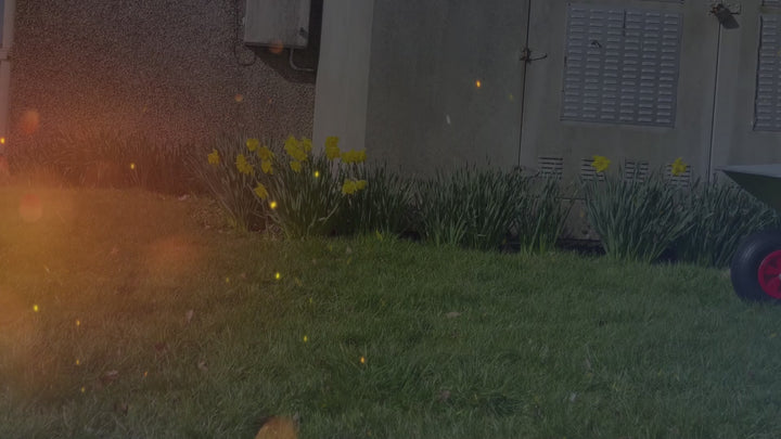 65 Liter Wheelbarrow Metal Cart Heavy Duty