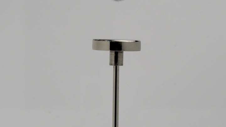 Stainless Steel Coffee French Press