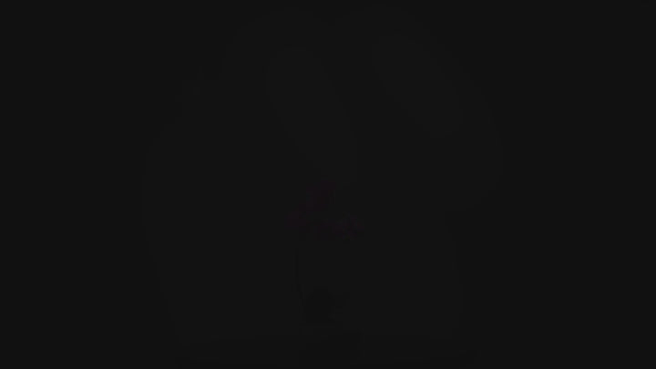 60cm Artificial White Realistic Orchid Flower