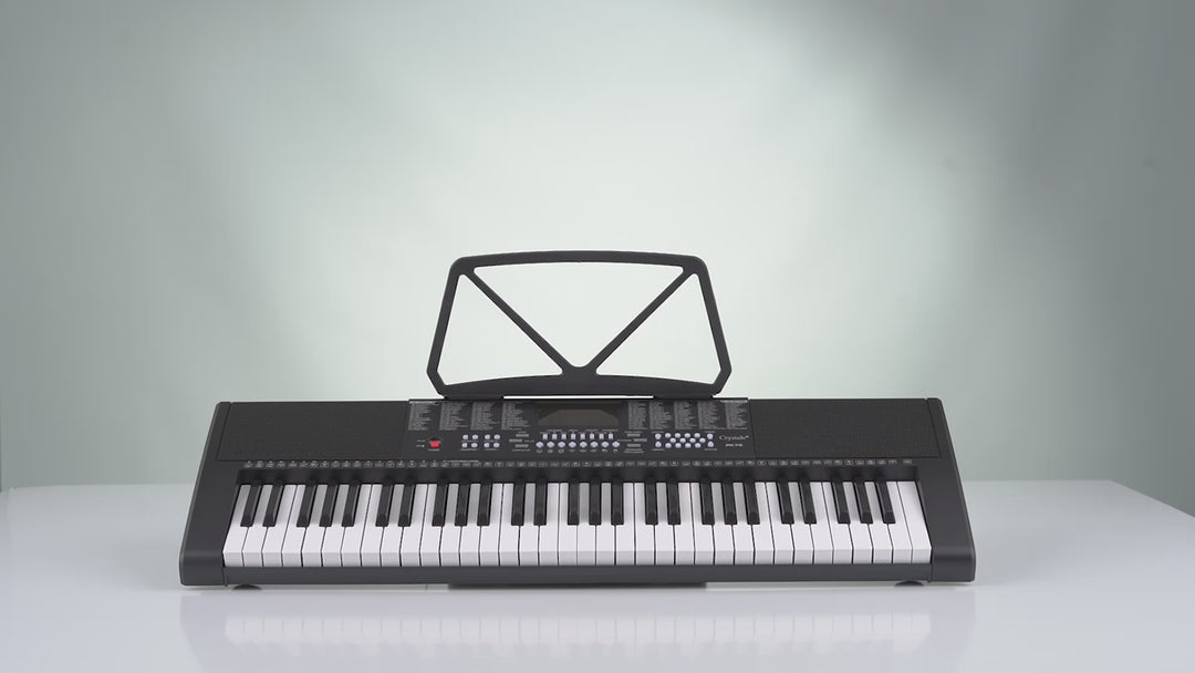 61 Keys Electronic Keyboard Piano