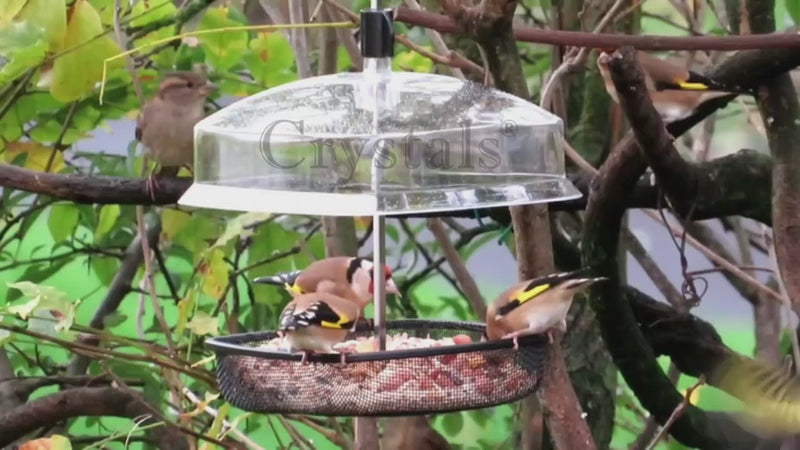 Hanging Garden Wild Bird Seed Feeder