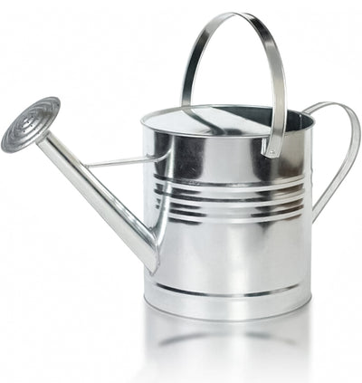 10L Metal Watering Can - Silver