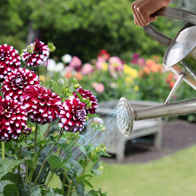 10L Metal Watering Can - Silver