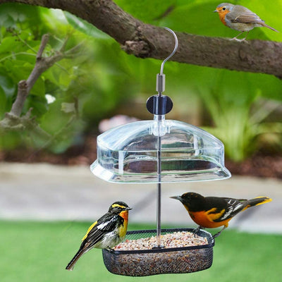 Hanging Garden Wild Bird Seed Feeder