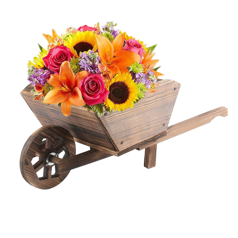 Garden Ornamental Wheelbarrow Planter