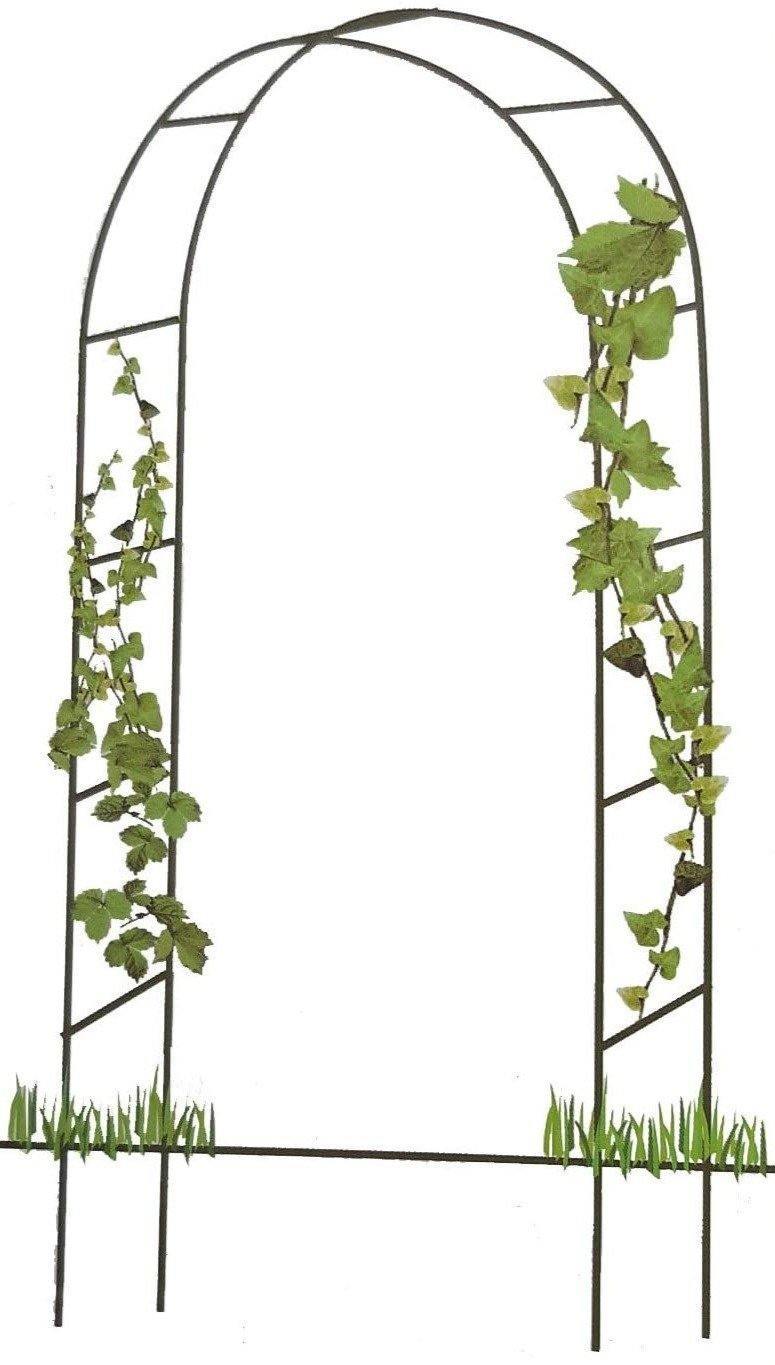 2M Metal Garden Arch - Denny Shop